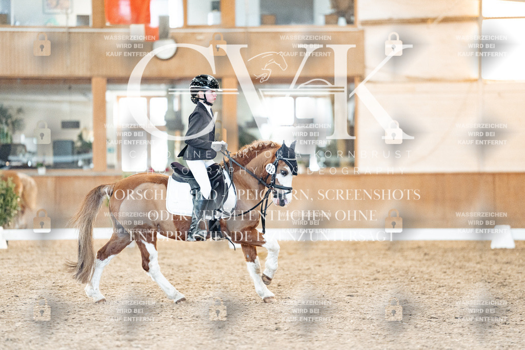 CK907301 | Turnierfotografie Pferdefotografie Trier Rheinland-Pfalz Pferdesport Reitsport Tierfotografie Sportfotografie Pferdevideo Pferdevideografie Equestrianvideography equestrianphotography  - Realized with Pictrs.com