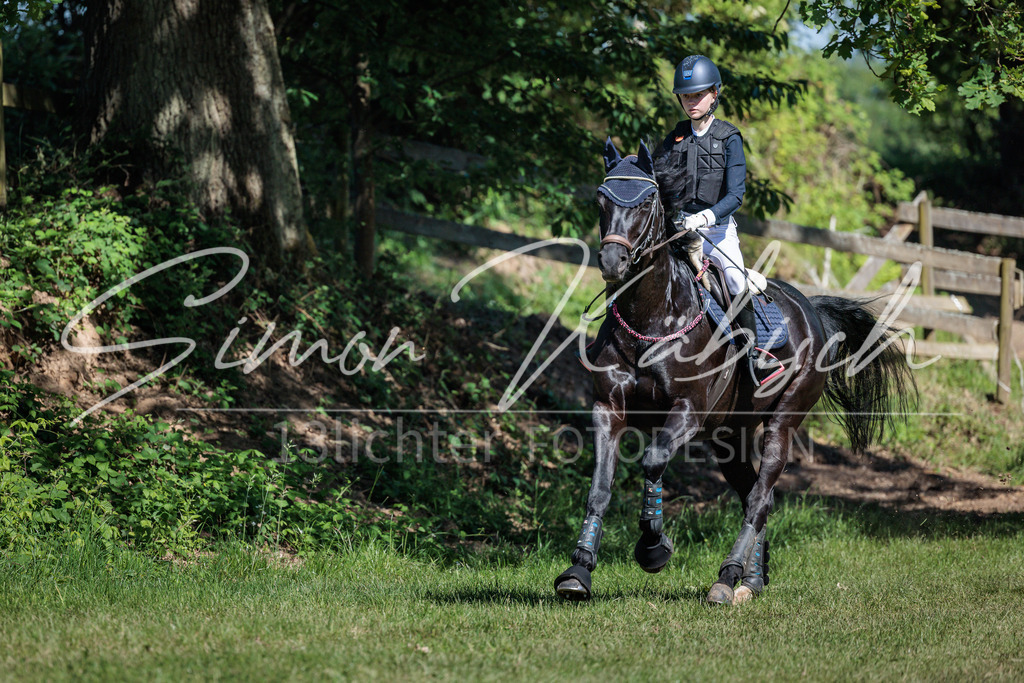 20260523-_3LI7134 | Tierfotografie Pferde, Hunde, Katzen, Haustiere.
Turnierfotografie Reitturniere, Reiten, Springreiten, Dressur in Hanau, dem Main-Kinzig-Kreis und dem Rhein-Main- Gebiet um Frankfurt