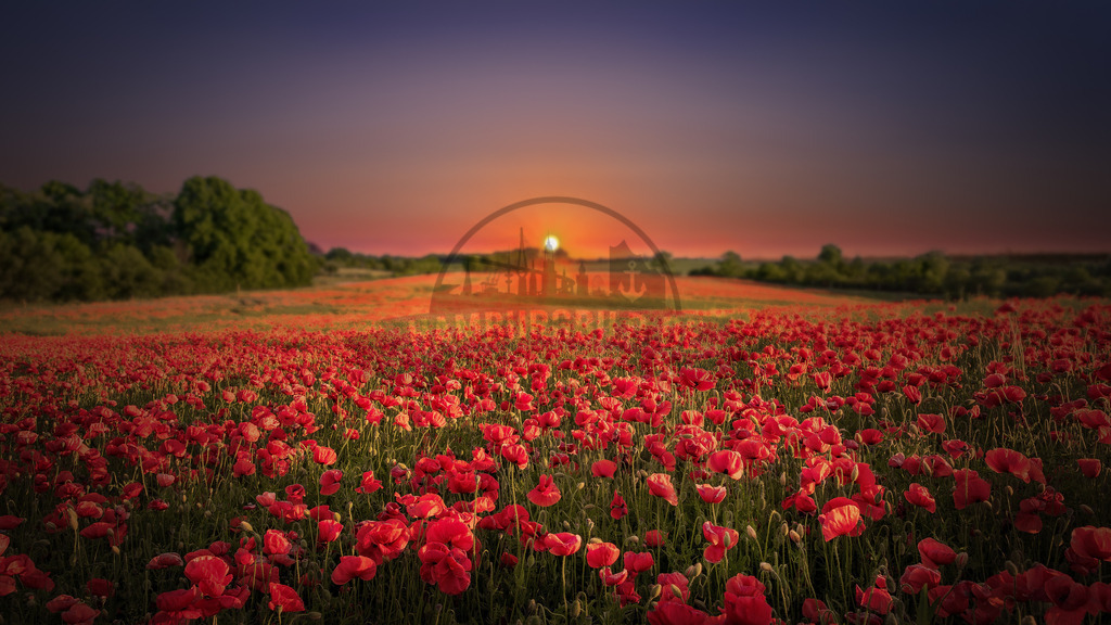 stativkunst-578 | Exklusive Hamburg collagen, tolle Segelbilder und viele weitere tolle Motive auf Leinwand, Poster, Alu-Dibond, u.v.m. findet Ihr bei uns auf hamburgbild.de. Findet Euer Wandbild für Euer Zuhause, Büro oder die  Praxis…. - Realisiert mit Pictrs.com