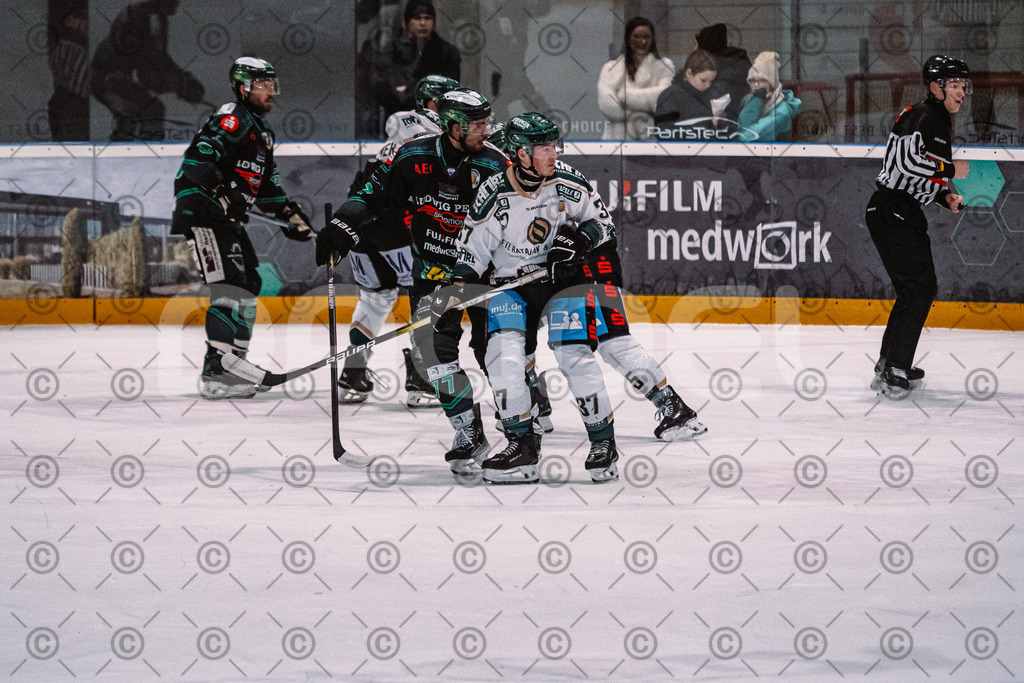 Alligators_vs_Erding_01_02_2026-20 | Höchstadt Alligators Fotogalerie: Eishockey-Action aus Franken. Professionelle Spielfotos, Portraits & Stadionbilder zum Download. Jetzt entdecken! - Realized with Pictrs.com