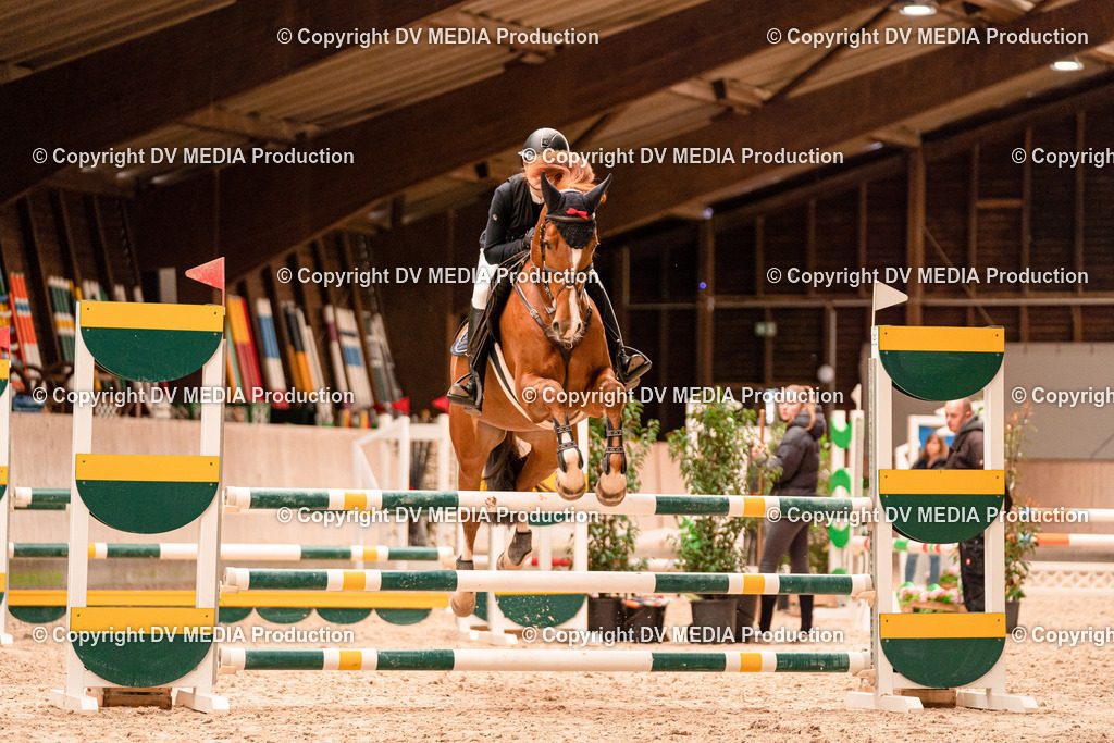 Springen Tag 2-314 | dv-media-shop - Realisiert mit Pictrs.com