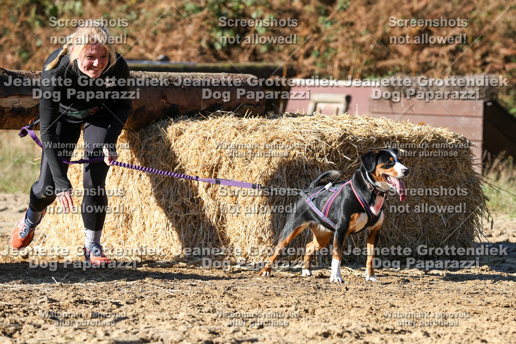 Dog Paparazzi - Strongdog 10-25-2173 | Dog Paparazzi Jeanette Grottendiek Fotografie & Videografie - Realisiert mit Pictrs.com