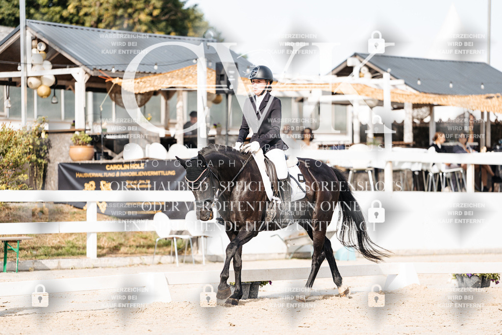 CK905070 | Turnierfotografie Pferdefotografie Trier Rheinland-Pfalz Pferdesport Reitsport Tierfotografie Sportfotografie Pferdevideo Pferdevideografie Equestrianvideography equestrianphotography  - Realisiert mit Pictrs.com