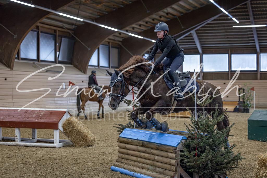20260221-_3LI8860 | Tierfotografie Pferde, Hunde, Katzen, Haustiere.
Turnierfotografie Reitturniere, Reiten, Springreiten, Dressur in Hanau, dem Main-Kinzig-Kreis und dem Rhein-Main- Gebiet um Frankfurt