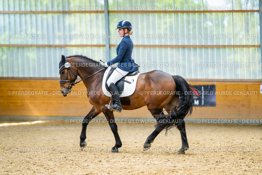 DSC09526 | Pferdegrafie