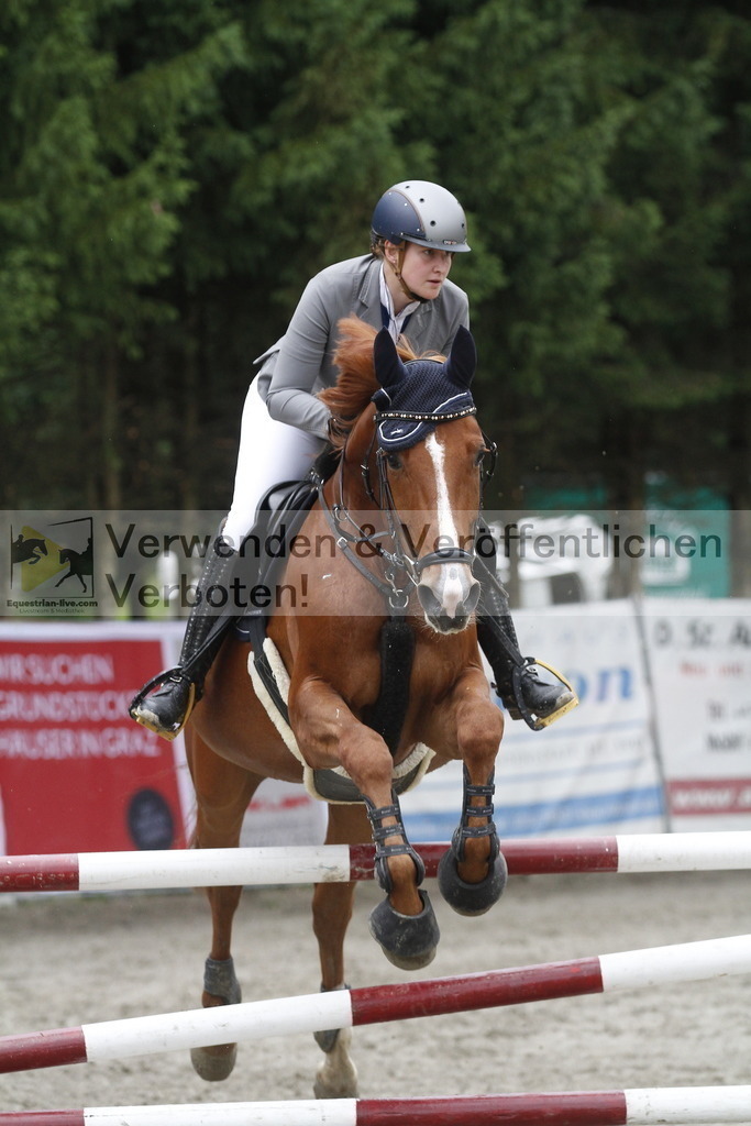 _MG_7407 | equestrian-live-com