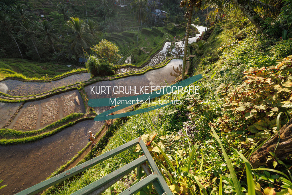 230720-1396 | onlinegalerie und Fotoshop Kurt Gruhlke Fotograf Berlin
Hochzeitsfotograf Eventfotograf Portraitfotografie
 - Realisiert mit Pictrs.com