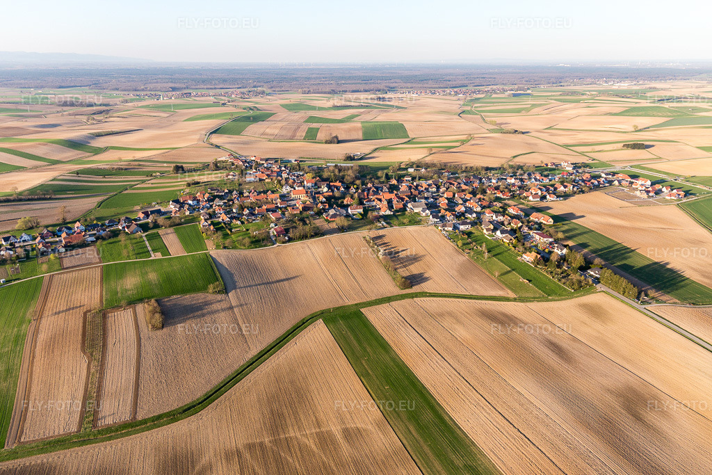 Vue aérienne: Champs agricoles et terres arables à Oberlauterbach dans le département Bas Rhin, France. Photo: IMG_097843.jpg prise le 27/03/2017 par Werner Riehm/FLY-FOTO.euRésolution de l'original: 5242 x 3495 px
