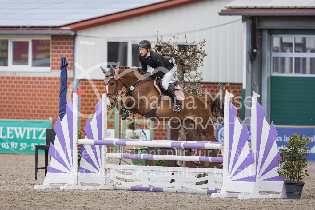 230411_Mühlen_02SprPf-A-264 | Deine schönsten Turniermomente als professionelle Fotos! Entdecke hochwertige Pferdesport-Fotografie im Online-Shop. Jetzt Fotos finden & bestellen!