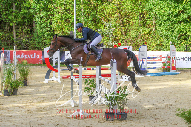 DKP42485 | Turniersportfotografie; Pferdefotografie; Dressurfotografie