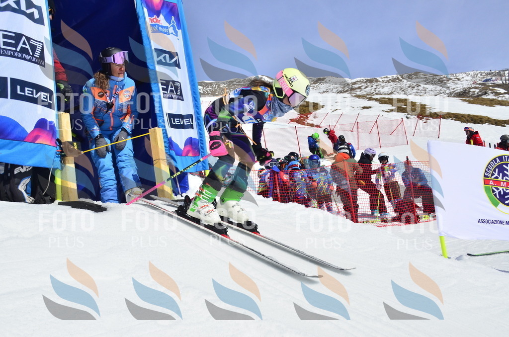 _ELE1230 | holidayphoto