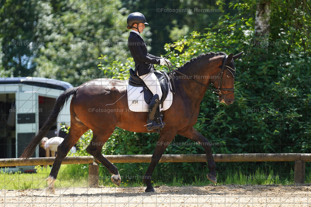 20240705-FAH04067 | Turnierbilder von Grafing, Reitsportbilder, Turnierfotos, Turnierfotografen Bayern, Pferdefotograf, Fotoagentur Herrmann