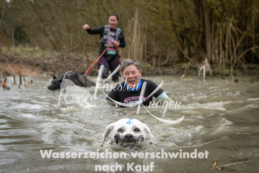 1344_ZZ92160 | kk-dogfotos