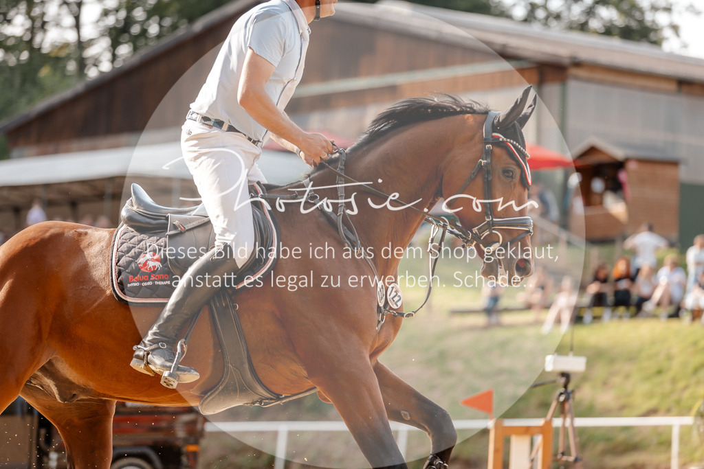 3I6A4833 | Stimmungsvolle Portraits und Reitsportfotografie im Ruhrgebiet und im Münsterland.

Pferdefotografie, Hundefotografie, Tierfotografie, Reportagen, Portraits von Tier und Mensch, Turnierfotografie in Bochum, Recklinghausen, Marl, Haltern am See, Dülmen.. - Realisiert mit Pictrs.com
