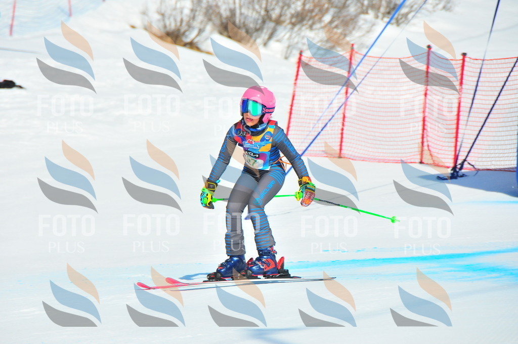 DSC_0664 | holidayphoto