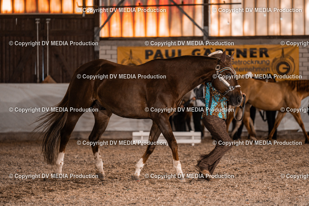 ZH100122 | dv-media-shop - Realisiert mit Pictrs.com