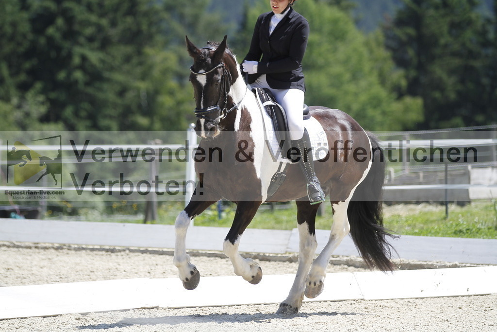 _MG_6739 | equestrian-live-com