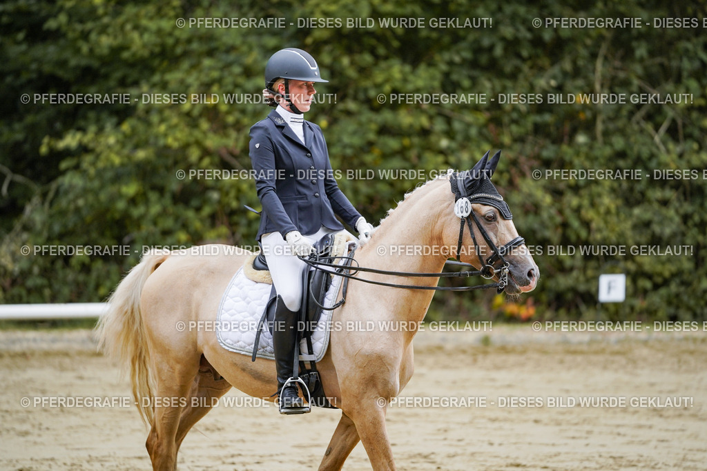 DSC08952 | Pferdegrafie