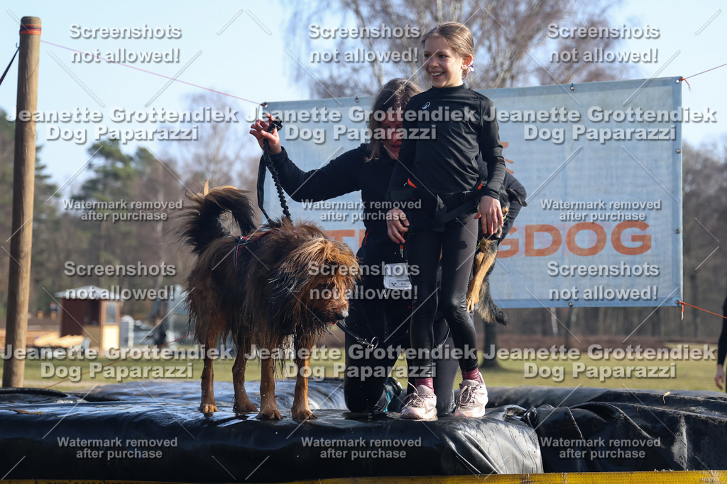 Dog Paparazzi - Strongdog North Mrz26-1303 | Dog Paparazzi Jeanette Grottendiek Fotografie & Videografie - Realisiert mit Pictrs.com