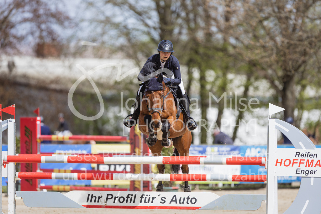 230501_SpengeW_M2St-151 | Deine schönsten Turniermomente als professionelle Fotos! Entdecke hochwertige Pferdesport-Fotografie im Online-Shop. Jetzt Fotos finden & bestellen!