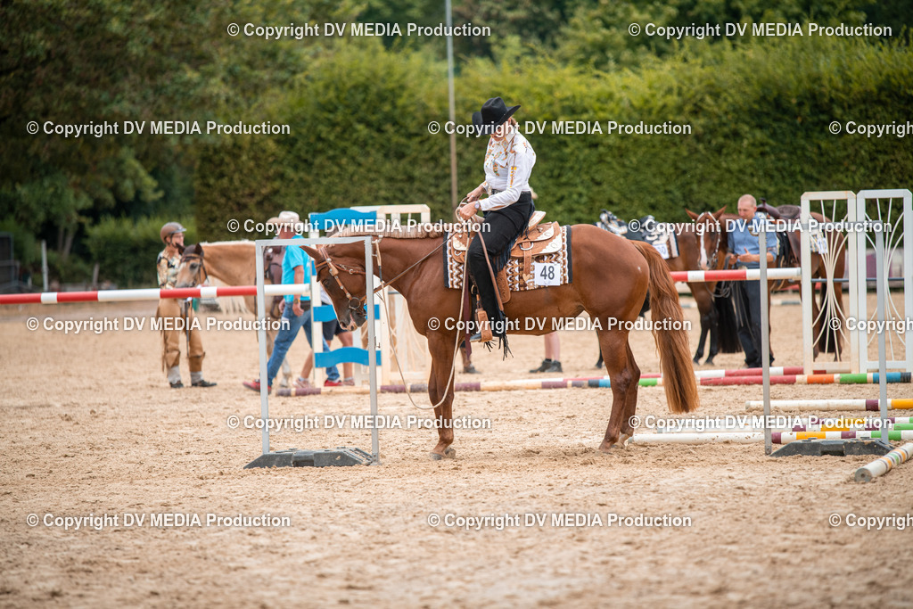 ZS2_8023 | dv-media-shop - Realisiert mit Pictrs.com