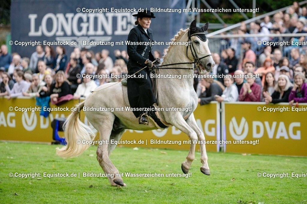20250606_Lange-Pferdenacht_0583 | Foto: Thomas Hartig
