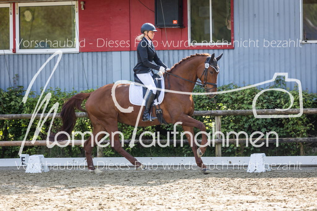 Donop24-A2-Dre-048 | MomenTaufnahmen Pferdesportfotos