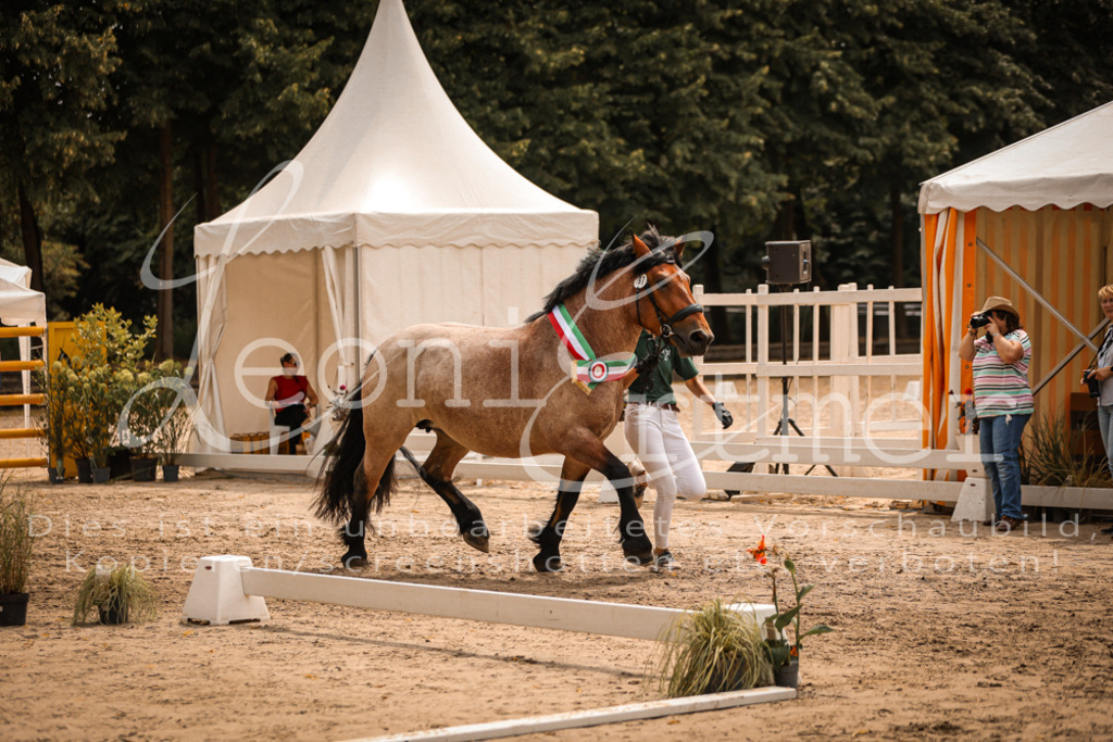 SaSieger00078 | Leoni Ertmer Photography - Realisiert mit Pictrs.com