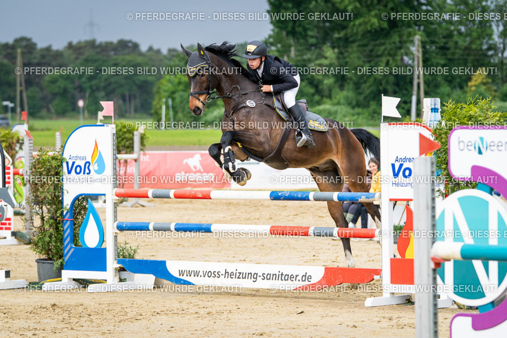 DSC04071 | Pferdegrafie