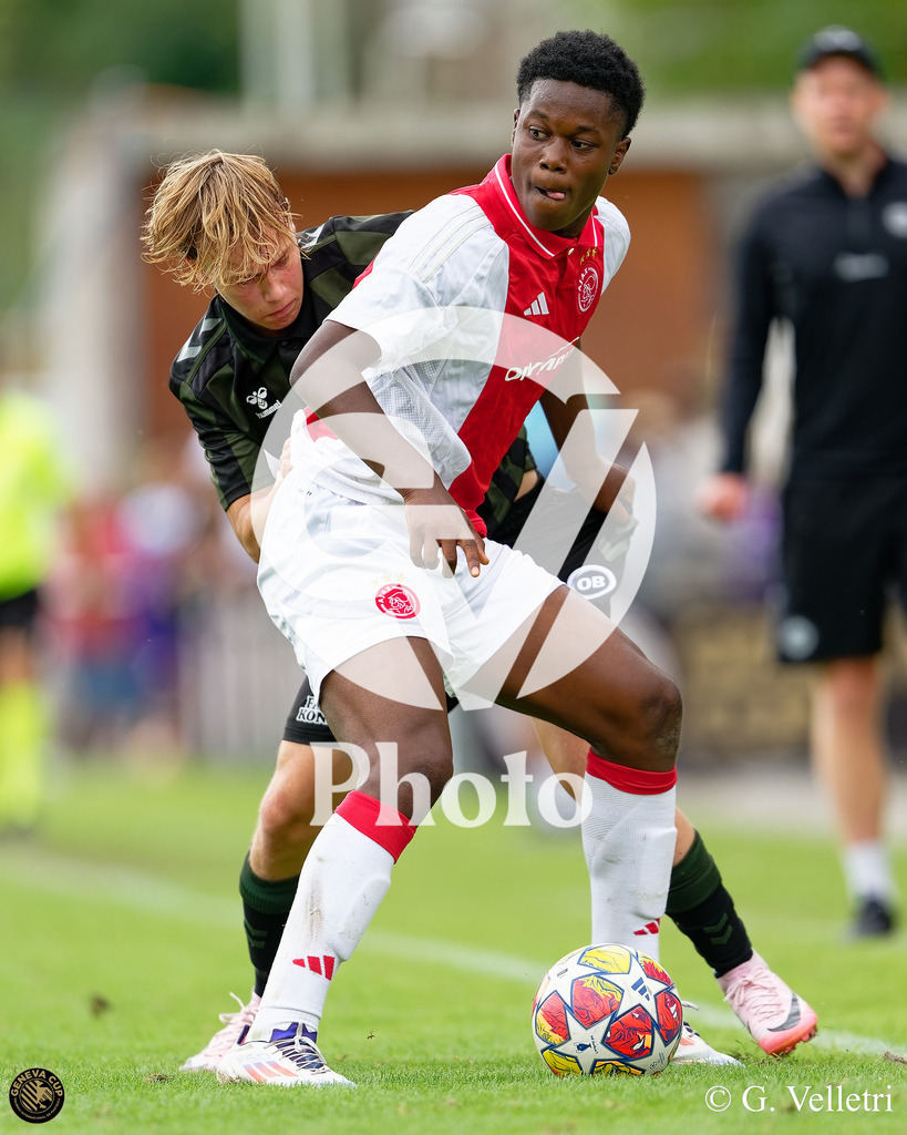 DZ9_0872 | Velletri Photo