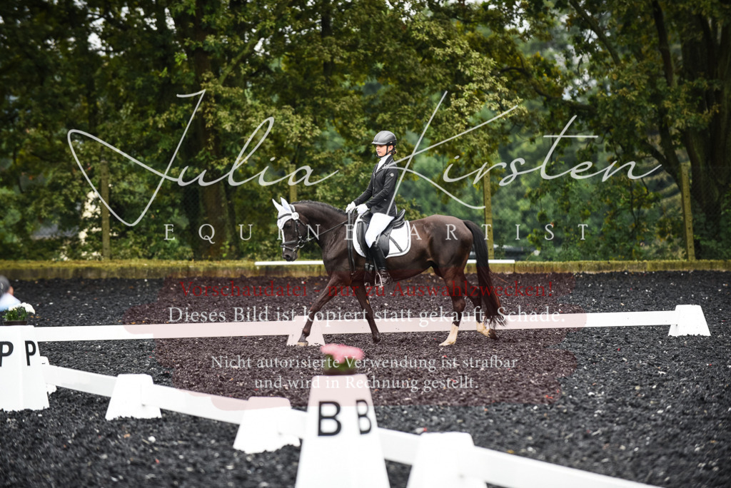DSC_2729 | Pferde- und Turnierfotografie in Westsachsen. Pferdeportraits, Auftragszeichnungen und intuitive Kunst.