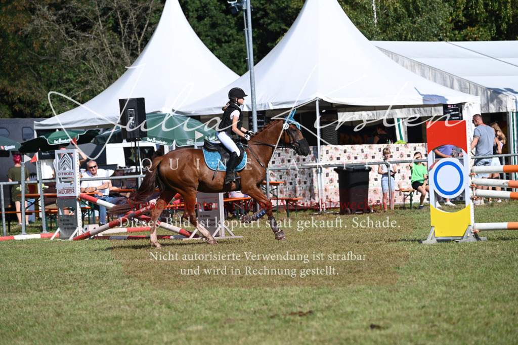 DSC_5327 | Pferde- und Turnierfotografie in Westsachsen. Pferdeportraits, Auftragszeichnungen und intuitive Kunst.