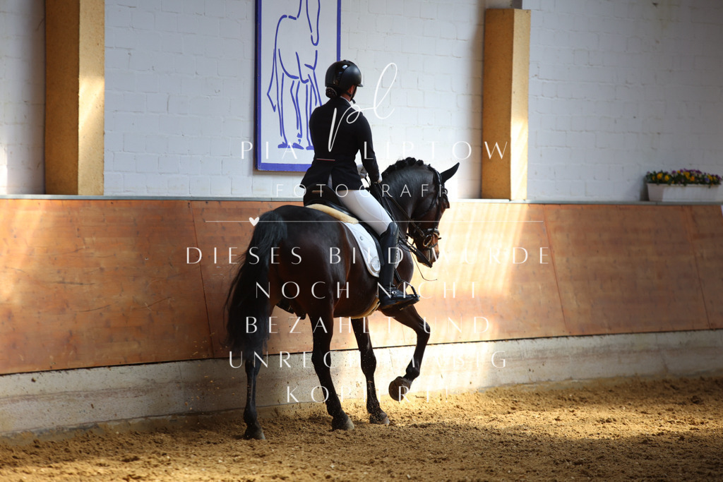 IMGT7522 | pl-fotografie