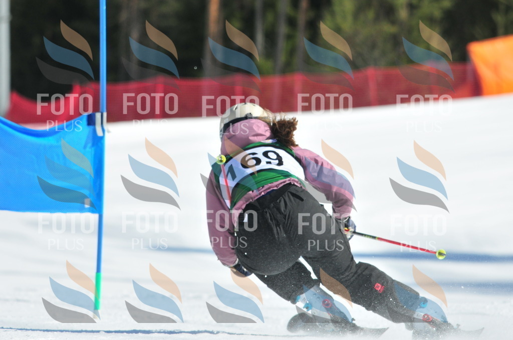 C4200 | holidayphoto