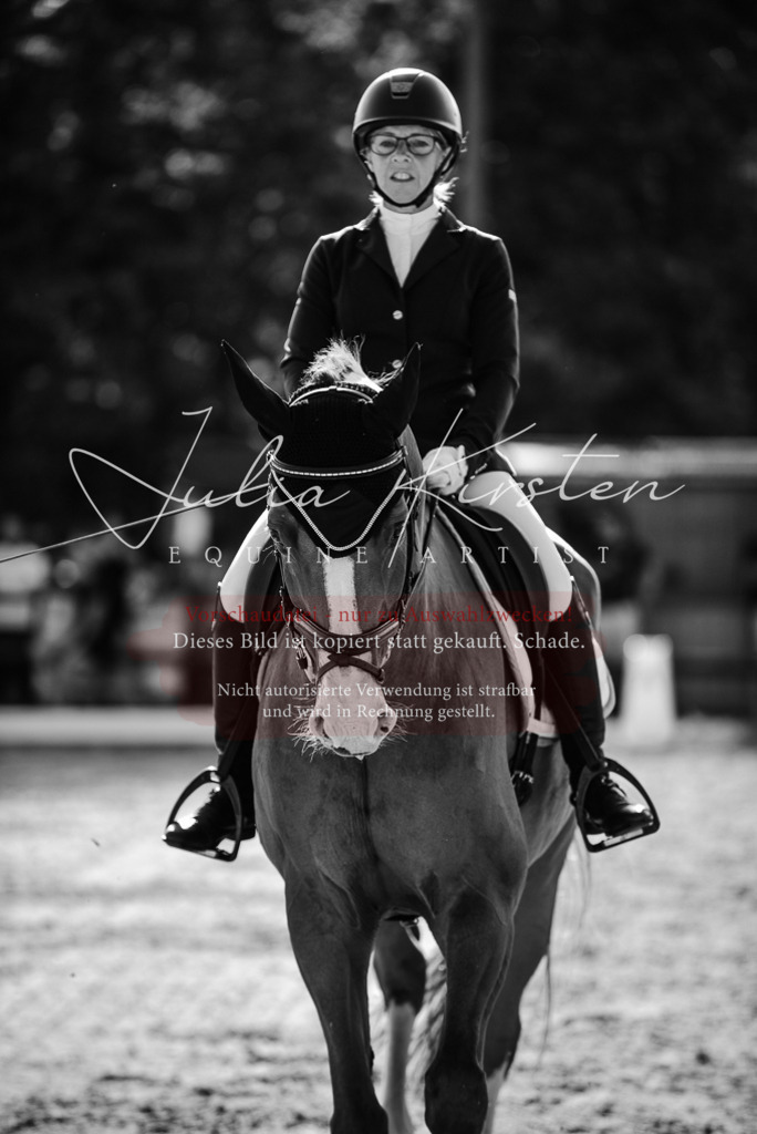 DSC_0495 | Pferde- und Turnierfotografie in Westsachsen. Pferdeportraits, Auftragszeichnungen und intuitive Kunst.
