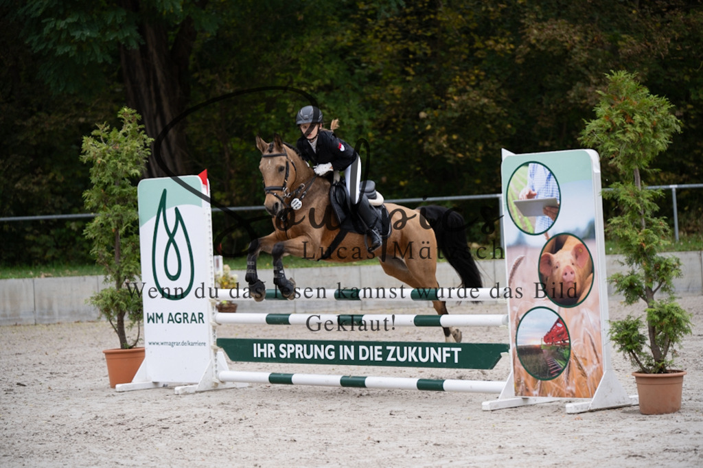 A7V07880 | Pferdefotograf