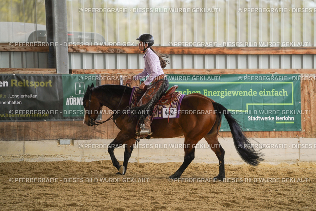 DSC08675 | Pferdegrafie