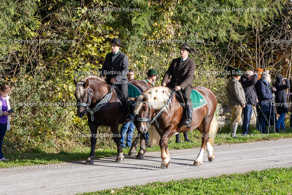 LBT24-372 | foto-bettina-krinner - Realisiert mit Pictrs.com