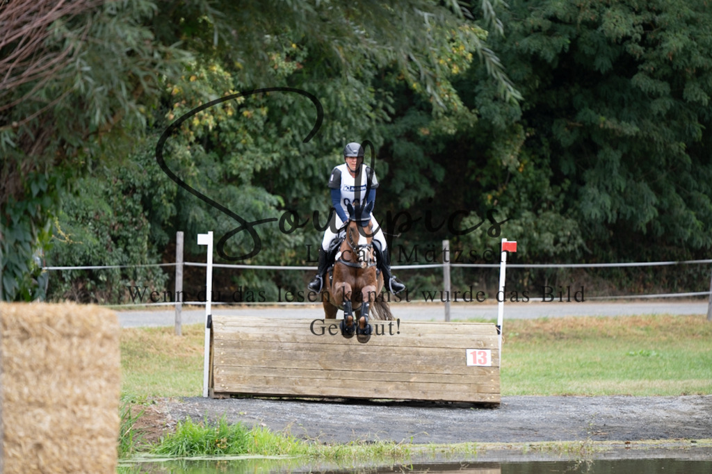 A7V00414 | Pferdefotograf