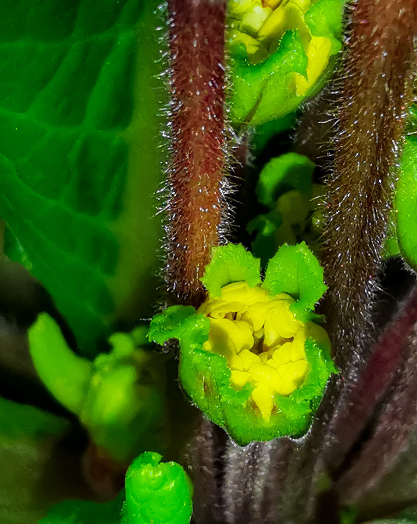 PSX_20230403_231639 | mtkfoto_ - Realisiert mit Pictrs.com