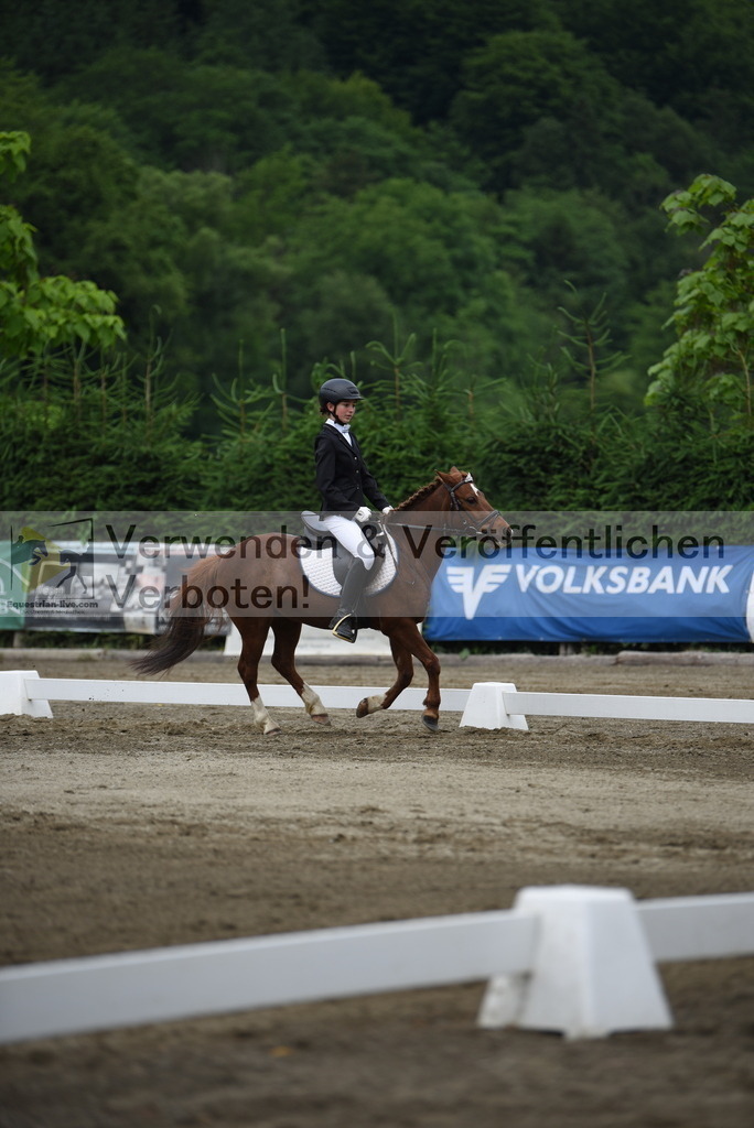 DSC_8024 | equestrian-live-com
