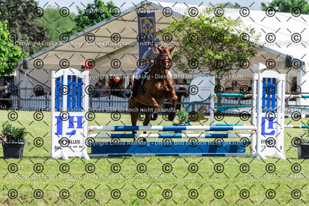 CL5A0048 | Emilia Reinking Fotografie - Realisiert mit Pictrs.com