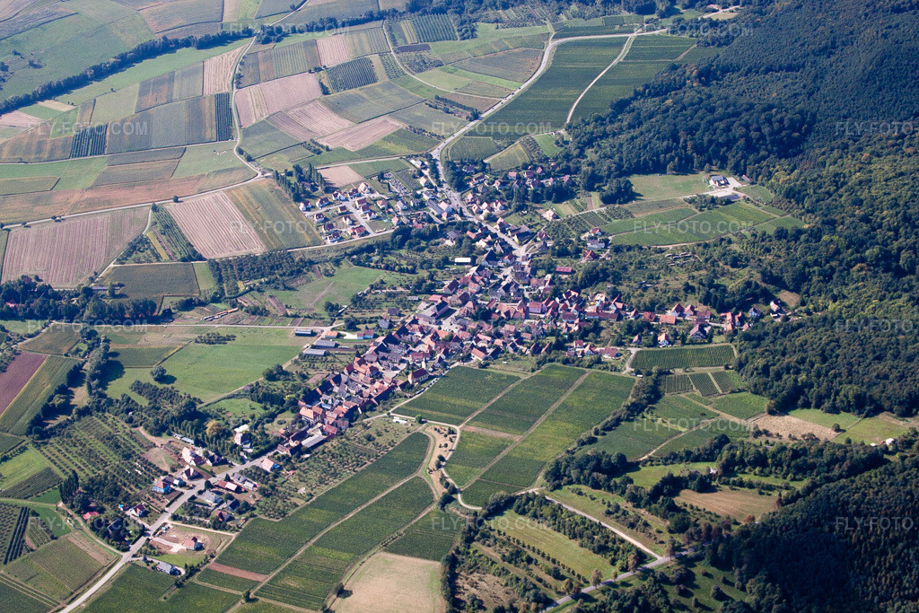 Aerial view: View of the town in Rott in the state Bas-Rhin, France.Photo: IMG_21009.jpg taken on 09/06/2009 by Werner Riehm/FLY-FOTO.comResolution of the original: 4752 x 3168 px
