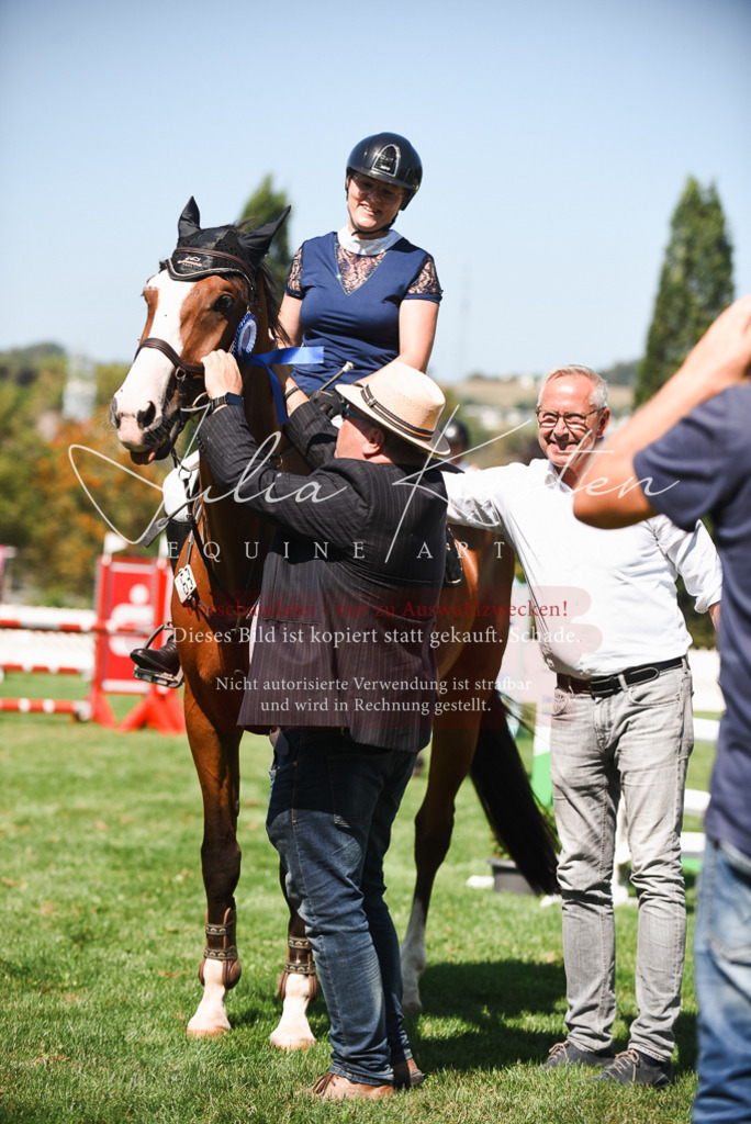 DSC_2941 | Pferde- und Turnierfotografie in Westsachsen. Pferdeportraits, Auftragszeichnungen und intuitive Kunst.