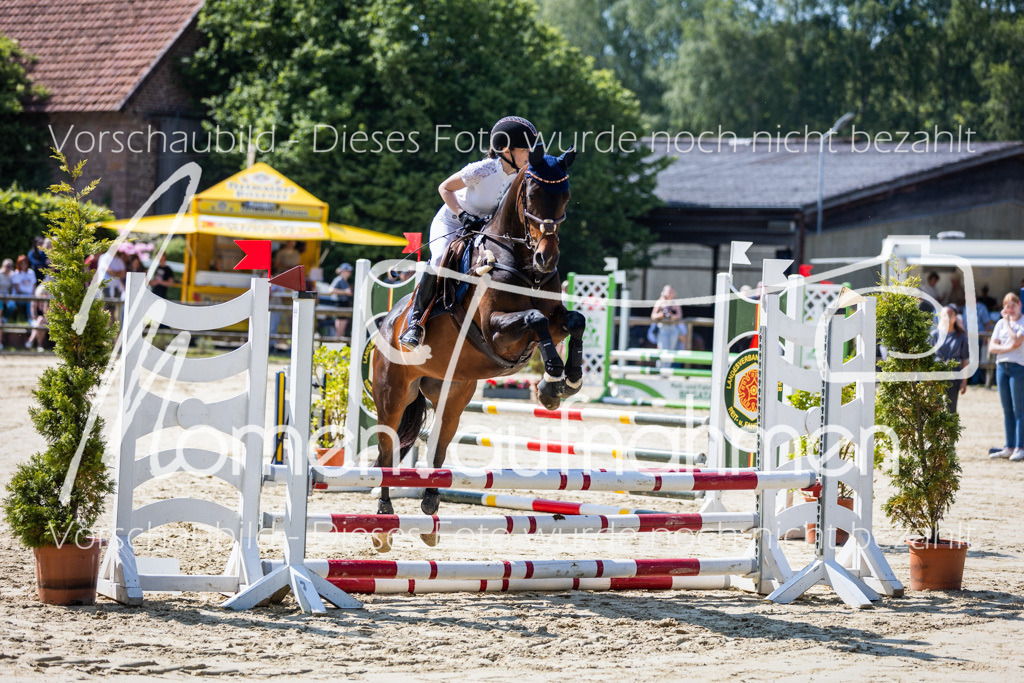 Donop24-ESpr-011 | MomenTaufnahmen Pferdesportfotos