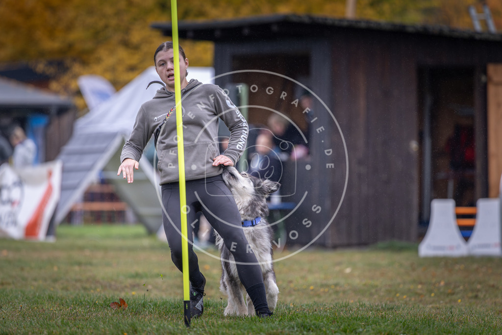Pfotenfotografie_DV3A0648 | Hundefotografie, Tierfotograf, Pfotenfotografie, Fotoshooting Hund, Hunde Portrait, Hundesport, Hundeportraits, Heideshooting, Hunde, Sportfotograf, Hundefotograf, Turnierhundsport, THS,  - Realisiert mit Pictrs.com