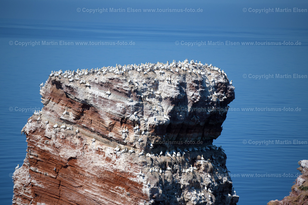 Helgoland Lange Anna_ELS_7939030818 | Helgoland - Aufnahmedatum: 03.08.2018, Aufnahmehöhe:  m, Koordinaten:  - , Bildgröße: 8256 x  5504 Pixel - Copyright 2018 by Martin Elsen, Kontakt: Tel.: +49 157 74581206, E-Mail: info@schoenes-foto.deSchlagwörter:Schleswig-Holstein,Landkreis Pinneberg,Düne,Hochseeinsel,Börteboote,Meer,Küste,Halunder,Oberland,Unterland,Strand,Seehunde,Robben,Lange Anna,Felsen,Roter Felsen,Luftbild,Luftbilder,Bastölpel - Realisiert mit Pictrs.com
