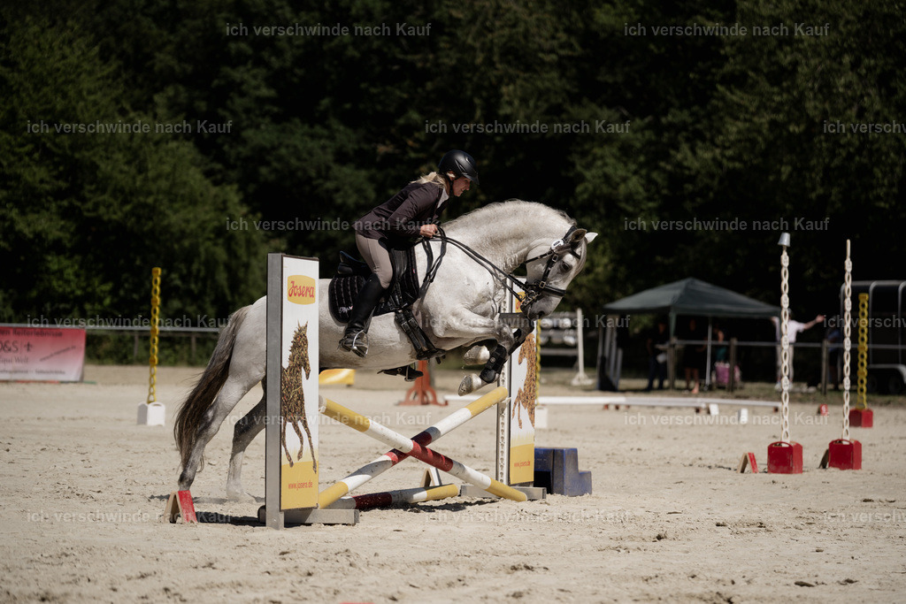 WM_ST_83_stoibphotography__SO11583 | working equitationturnier fotograf videograf stoibphotography marixx film working equitation deutschland reitsport turnierfotografie eventfotografie equestrian events