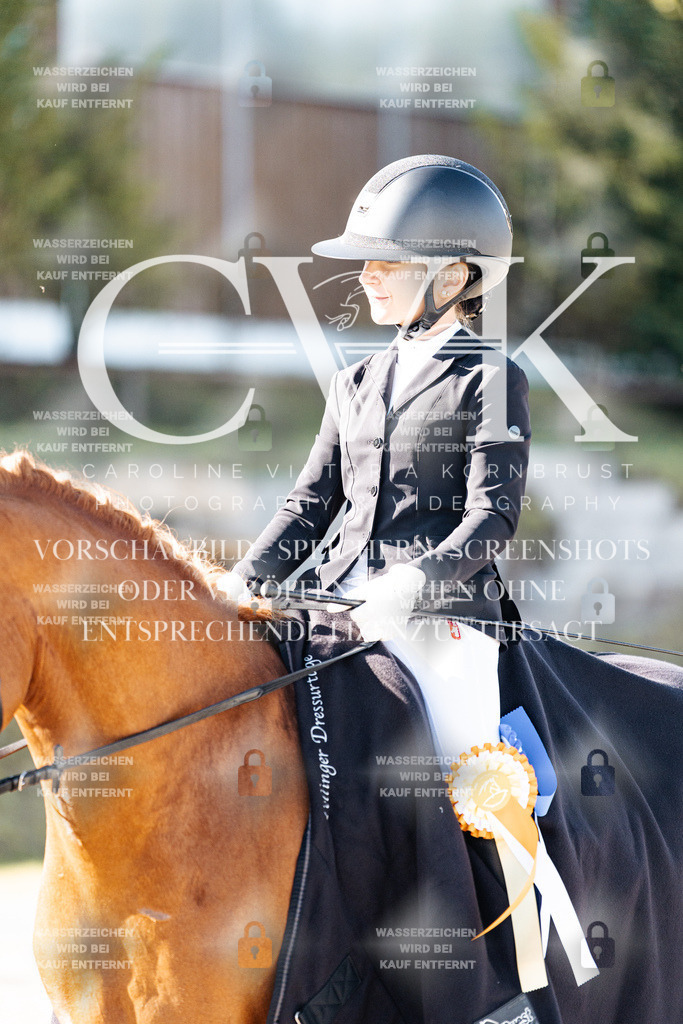CK908449 | Turnierfotografie Pferdefotografie Trier Rheinland-Pfalz Pferdesport Reitsport Tierfotografie Sportfotografie Pferdevideo Pferdevideografie Equestrianvideography equestrianphotography  - Realisiert mit Pictrs.com