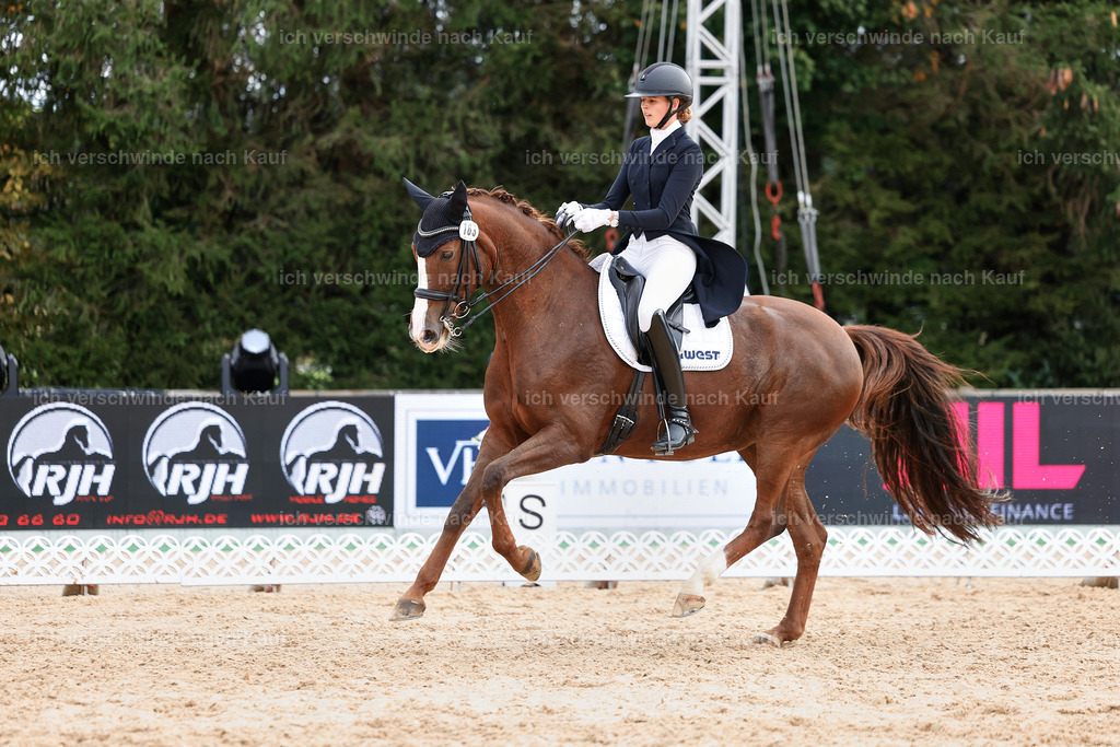 6-163-AMATUER-DRESSUR S_  -StoibPH-3478 | working equitationturnier fotograf videograf stoibphotography marixx film working equitation deutschland reitsport turnierfotografie eventfotografie equestrian events